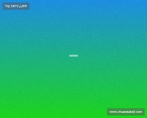 电竞战队几个人